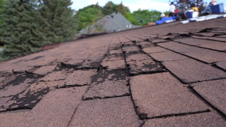 Best Gutter Installation and Repair  in Durham, NC